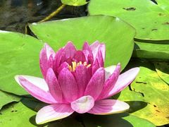 -昆山城市生态森林公园