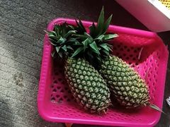 -三亚新鸿港水果一级批发市场