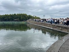 -西湖游船