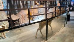 -酷嗒动物文化乐园(cutezoo西溪乐天城店)