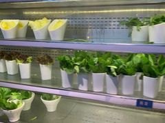 -V-ONE西雅图海鲜自助餐厅(仓山万达广场店)