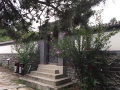 -阳台山自然风景区