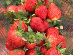 -新塘水果乐园(东洲大道店)