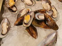 -北京希尔顿逸林酒店-逸轩西餐厅-自助餐厅