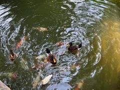 -春风习习