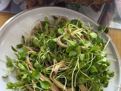 -八次方密云水库鱼粘卷子·熏鸽子·农家菜