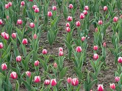 -长春公园(普阳街道)