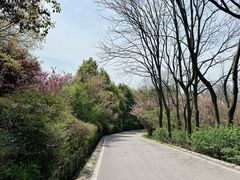 -南京市江宁方山