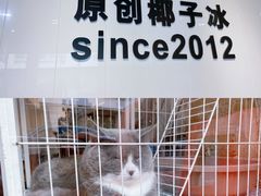 -乐果甜心·潮汕冰室(南澳后宅分店)