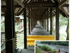 -乌鲁淡布隆国家公园