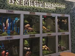 -芸山季·云南山珍菌火锅(南翔印象城MEGA店)