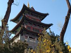 -迎泽公园