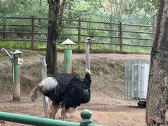 -青藏高原野生动物园