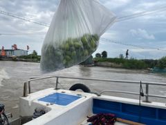 -荷花荡
