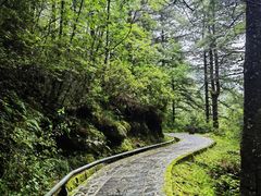 -苍山感通索道