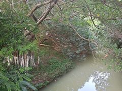 -东湖公园游乐场