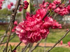 -福州大学(旗山校区)