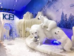 -宁波冰雪大世界(北仑区)