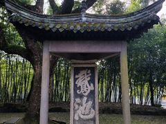 -兰亭风景区