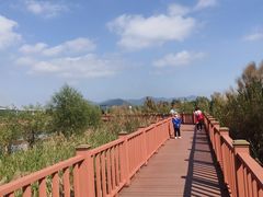 -芒洲湿地公园