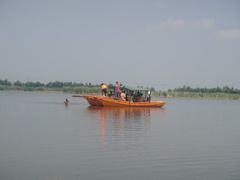 -白渔泡湿地公园