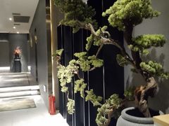 -璞·澐间影院式足道SPA(尚悦湾店)