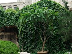 -李叔同故居纪念馆