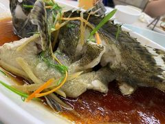 清蒸老虎石斑鱼-范饭椰林川湘味海鲜·椰子鸡(三亚湾椰梦长廊店)