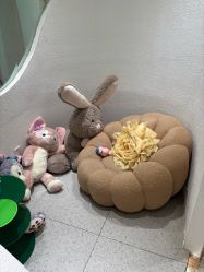 -薇薇安花系SPA