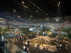 -自贡恐龙博物馆