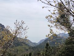 -青岛崂山太清宫