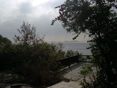 -野狸岛