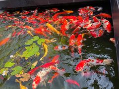 -濮园 · 四合院餐厅