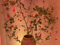 -舒小悦·舒养SPA·古法推拿(光环中心店)