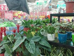 -大润发(东关世茂店)