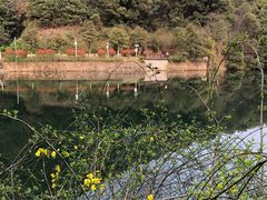 -桃花岭景区