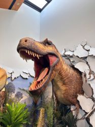 -禧园Joyous Garden ·宴会厅(禧园店)