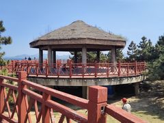 -养马岛旅游度假区