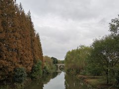 -南湖湿地公园