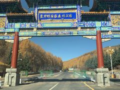 -塞罕坝国家级自然保护区