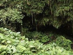 -海口火山口国家地质公园