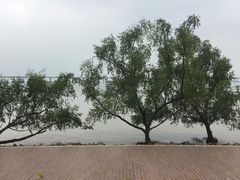 -宝安西湾红树林湿地公园