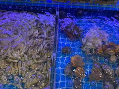 -洲晓鲜·舟山海鲜大排档(朱家尖风景区店)