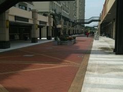 android_upload_pic-中加枫华国际学校