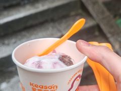 -iceason爱茜茜里·意大利健康冰淇淋(骑龙巷店)