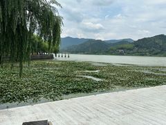 -鸣鹤古镇