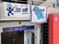 -华中科技大学光谷体育馆