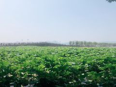-杭州西湖柳莺里酒店