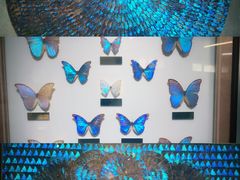 -上海昆虫博物馆