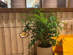 -CURRY YA 熟成咖哩專門店(深圳湾万象城店)